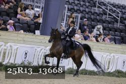 25R13_13668 thumbnail