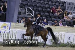 25R13_13669 thumbnail