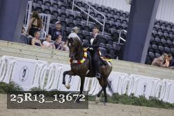 25R13_13672 thumbnail