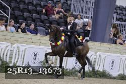 25R13_13673 thumbnail