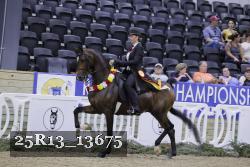 25R13_13675 thumbnail