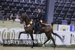 25R13_13676 thumbnail