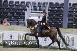 25R13_13677 thumbnail