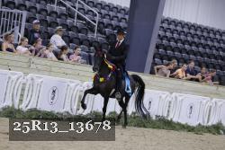 25R13_13678 thumbnail