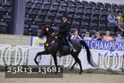 25R13_13681 thumbnail