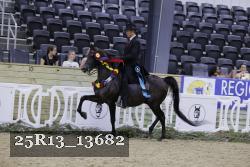 25R13_13682 thumbnail