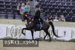 25R13_13683 thumbnail
