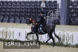 25R13_13684 thumbnail