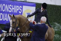 25R13_13687 thumbnail