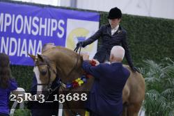 25R13_13688 thumbnail