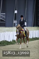 25R13_13692 thumbnail