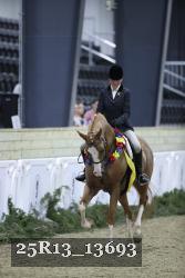 25R13_13693 thumbnail