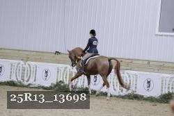 25R13_13698 thumbnail