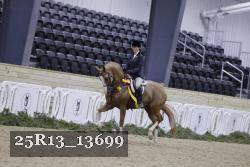 25R13_13699 thumbnail