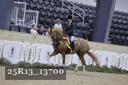 25R13_13700 thumbnail