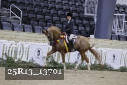 25R13_13701 thumbnail