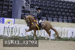25R13_13702 thumbnail