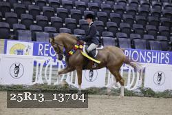 25R13_13704 thumbnail