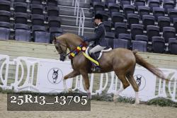 25R13_13705 thumbnail