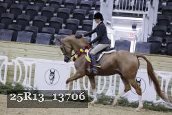 25R13_13706 thumbnail