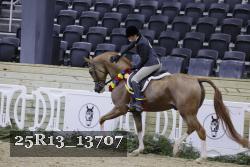 25R13_13707 thumbnail