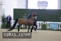 25R13_13708 thumbnail