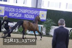 25R13_13710 thumbnail