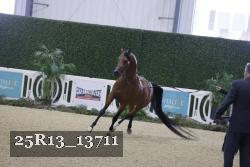 25R13_13711 thumbnail