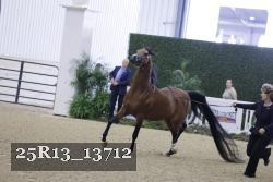 25R13_13712 thumbnail
