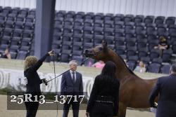 25R13_13717 thumbnail
