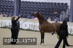 25R13_13718 thumbnail