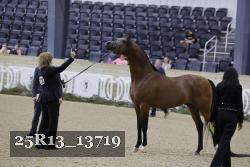 25R13_13719 thumbnail