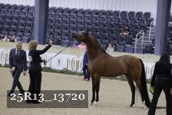 25R13_13720 thumbnail