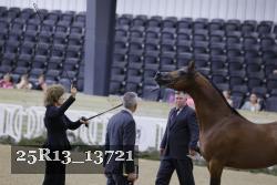 25R13_13721 thumbnail