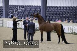 25R13_13723 thumbnail