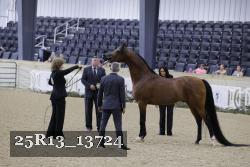 25R13_13724 thumbnail