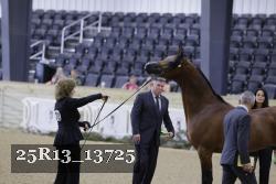 25R13_13725 thumbnail