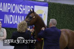 25R13_13727 thumbnail