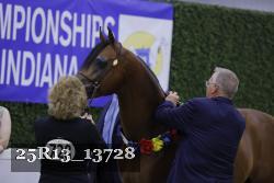 25R13_13728 thumbnail
