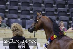 25R13_13733 thumbnail