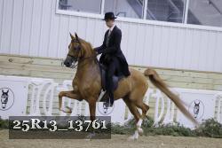 25R13_13761 thumbnail