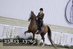 25R13_13765 thumbnail