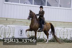 25R13_13766 thumbnail