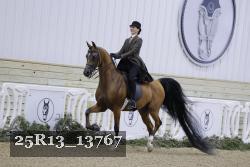 25R13_13767 thumbnail