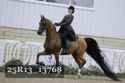 25R13_13768 thumbnail