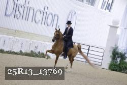 25R13_13769 thumbnail