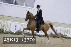 25R13_13770 thumbnail