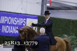 25R13_13779 thumbnail