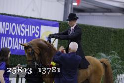 25R13_13781 thumbnail