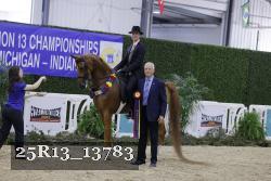 25R13_13783 thumbnail